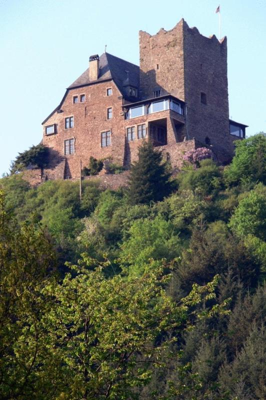 Panorama-Café MOSELGARTEN Alf Exterior foto